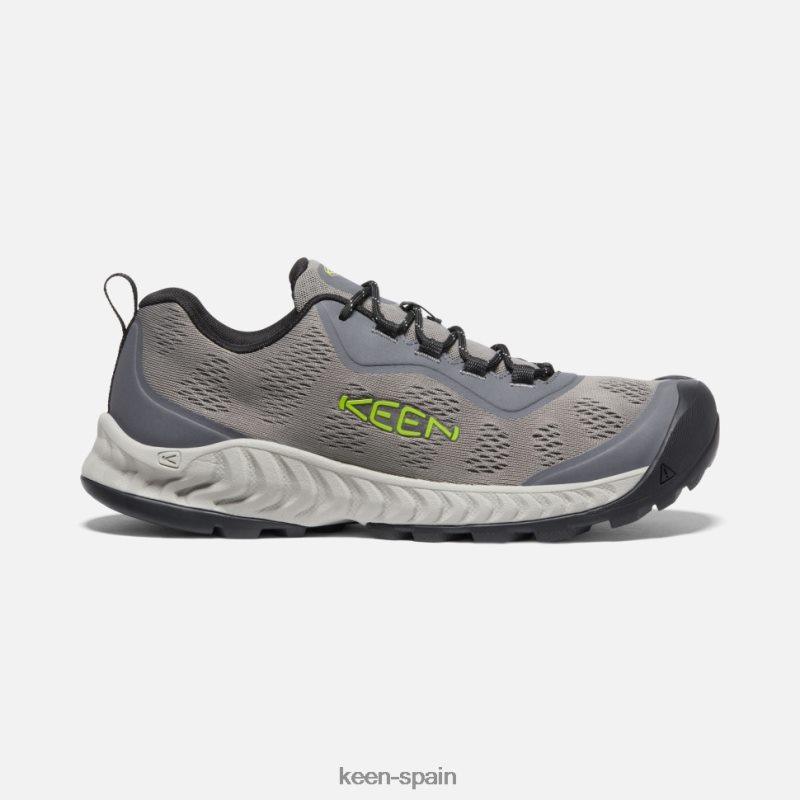 onagra gris acero