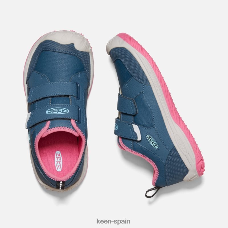 67LRTD542 Keen niños gran \'perro veloz\' paloma de fruta de ala azul