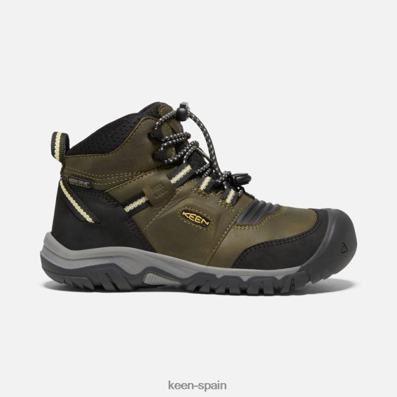 67LRTD580 Keen niños Bota impermeable Big 'Ridge Flex cidra oscura oliva oscura
