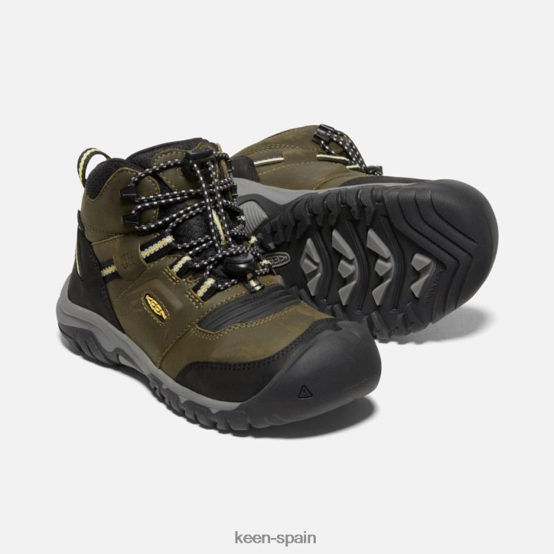 67LRTD580 Keen niños Bota impermeable Big \'Ridge Flex cidra oscura oliva oscura