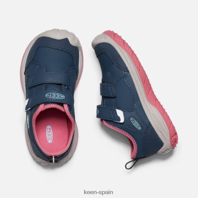 67LRTD544 Keen niños pequeño \'perro veloz\' paloma de fruta de ala azul