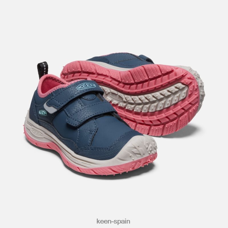 67LRTD544 Keen niños pequeño \'perro veloz\' paloma de fruta de ala azul