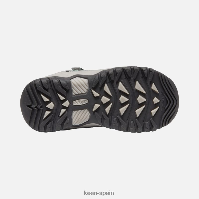 67LRTD281 Keen niños zapatos de senderismo targhee sport vent para jóvenes vapor-cascada