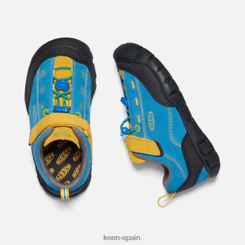 67LRTD19 Keen presentado más joven \'jasper ii vara azul-dorada brillante