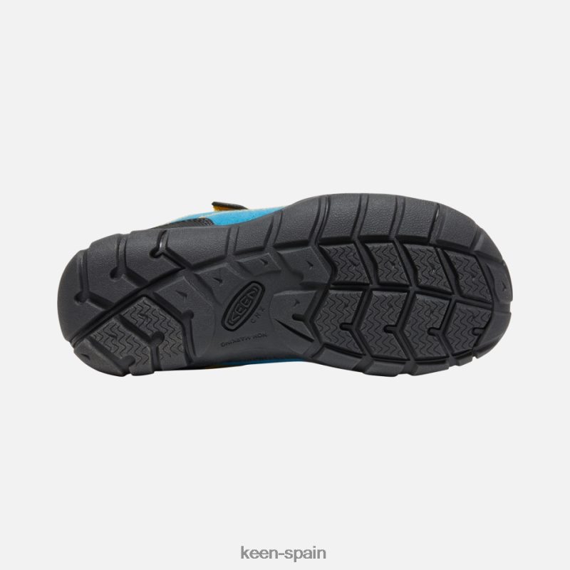 67LRTD27 Keen presentado mayor \'jasper ii vara azul-dorada brillante