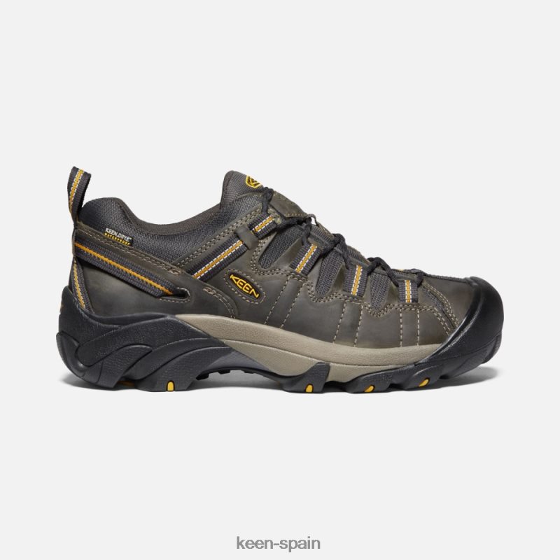 67LRTD269 Keen presentado zapatos de senderismo targhee ii aceituna leonada